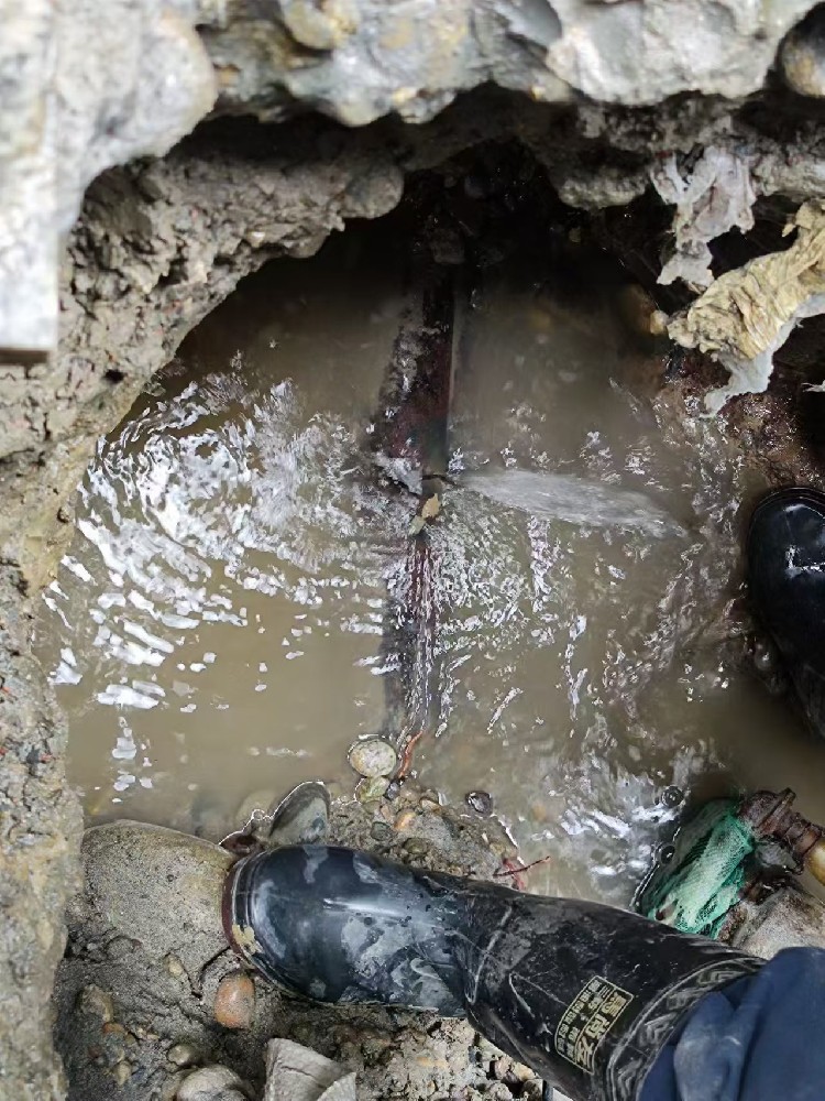 荆门本地绿化水管漏水检测维修